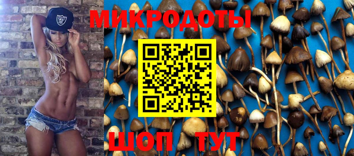 Псилоцибиновые грибы прущие грибы  Вход с VPN  Карталы  Галлюциногенные грибы прущие грибы 
