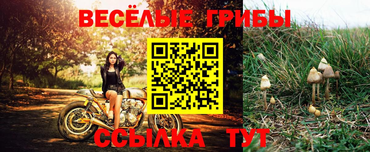 Псилоцибиновые грибы прущие грибы Карталы